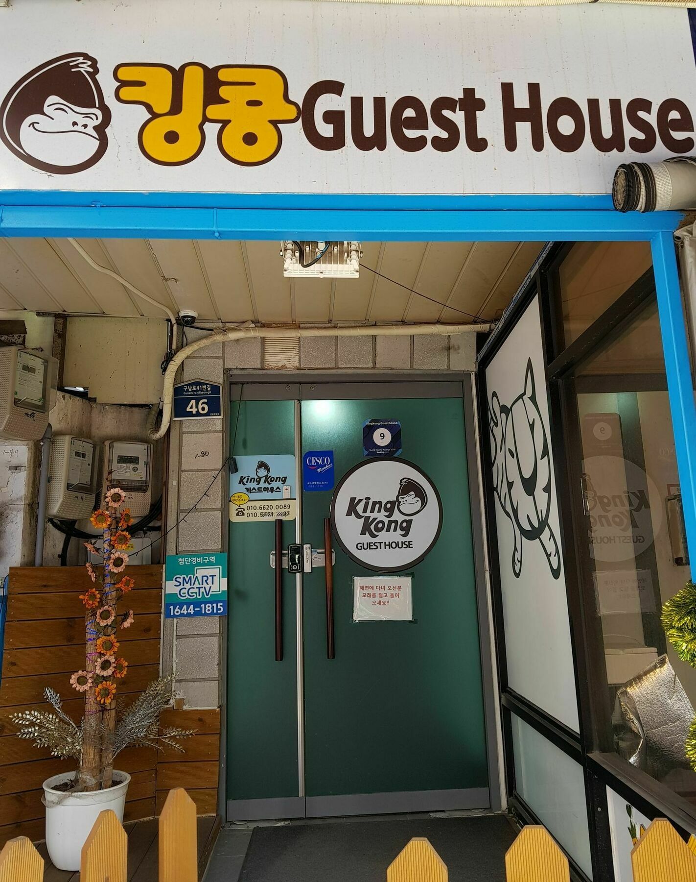 Kingkong Guesthouse Busan Ngoại thất bức ảnh